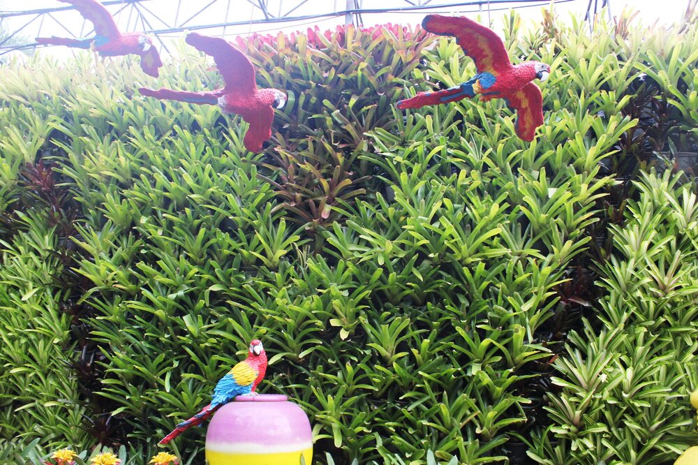 Изображение 1856.jpg