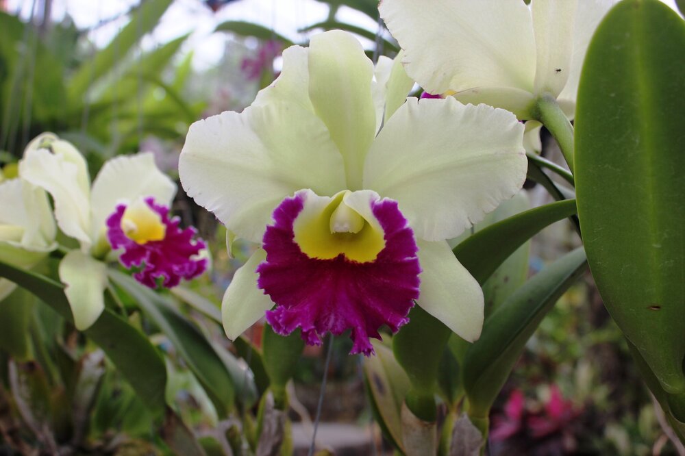 Изображение 1880.jpg