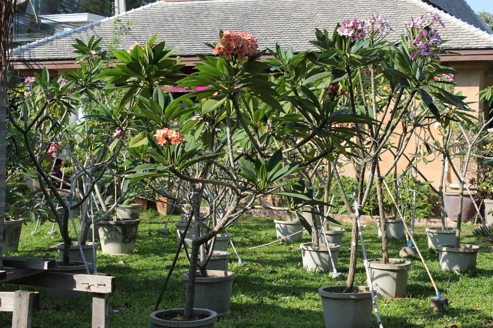 Изображение 009.jpg