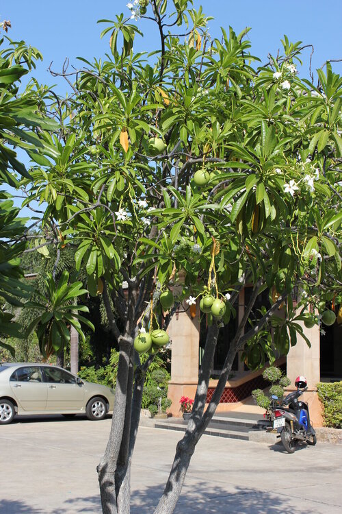 Изображение 008.jpg