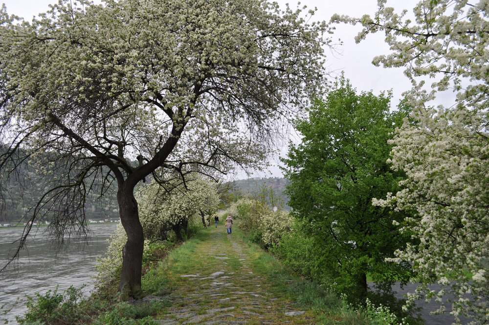 вояж 2013  (3854).jpg