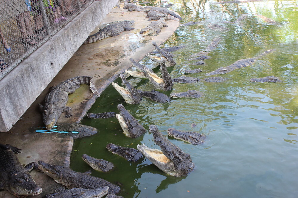 Изображение 530.jpg