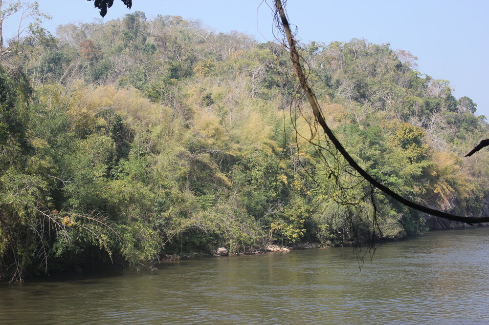 Изображение 1221.jpg