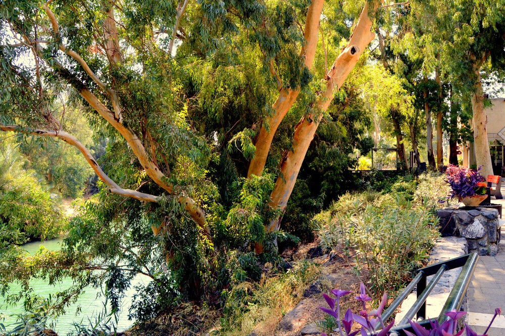 DSC_0369.jpg