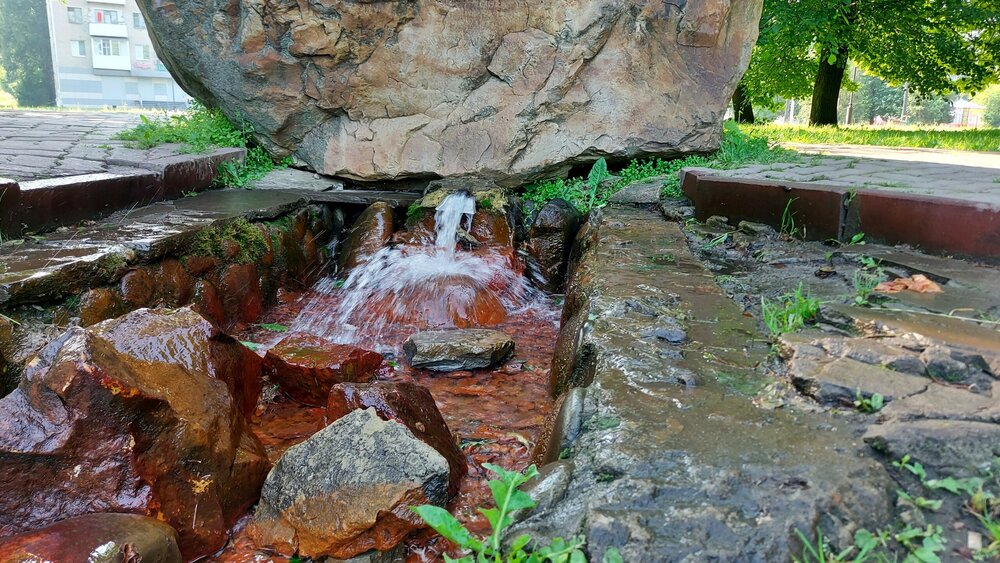 20200628_073503 (1).jpg