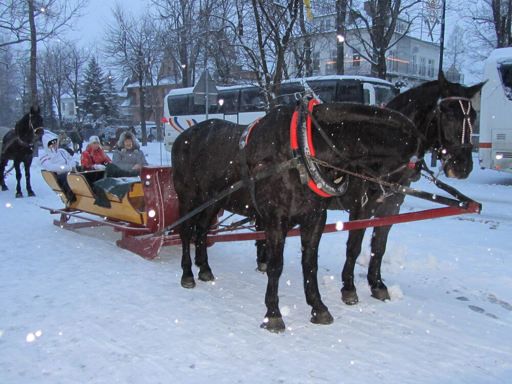 IMG_3805 - копия.jpg