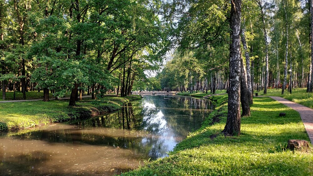 20200628_074145 (1).jpg