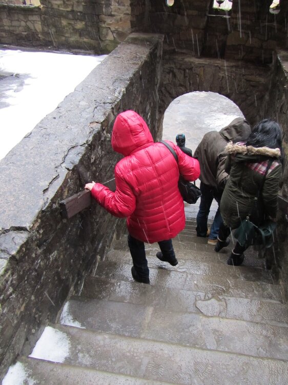 IMG_3308 - копия.jpg