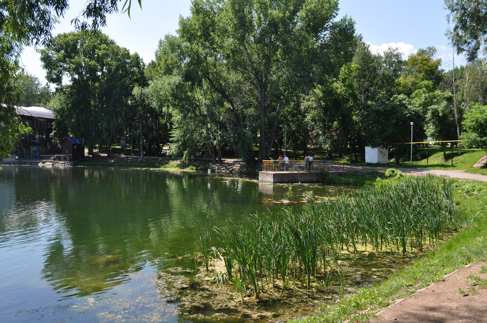 Домашние фото 648.jpg