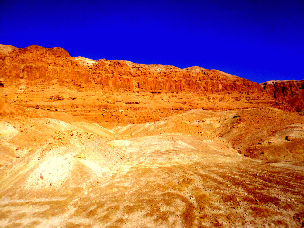 DSC00222.JPG