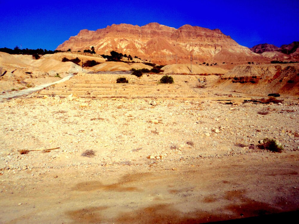 DSC00235.JPG