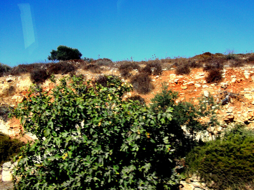DSCF0144.jpg