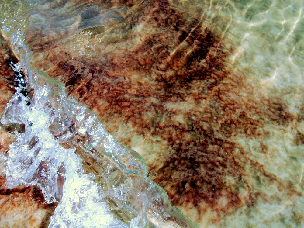 DSCF0291.JPG