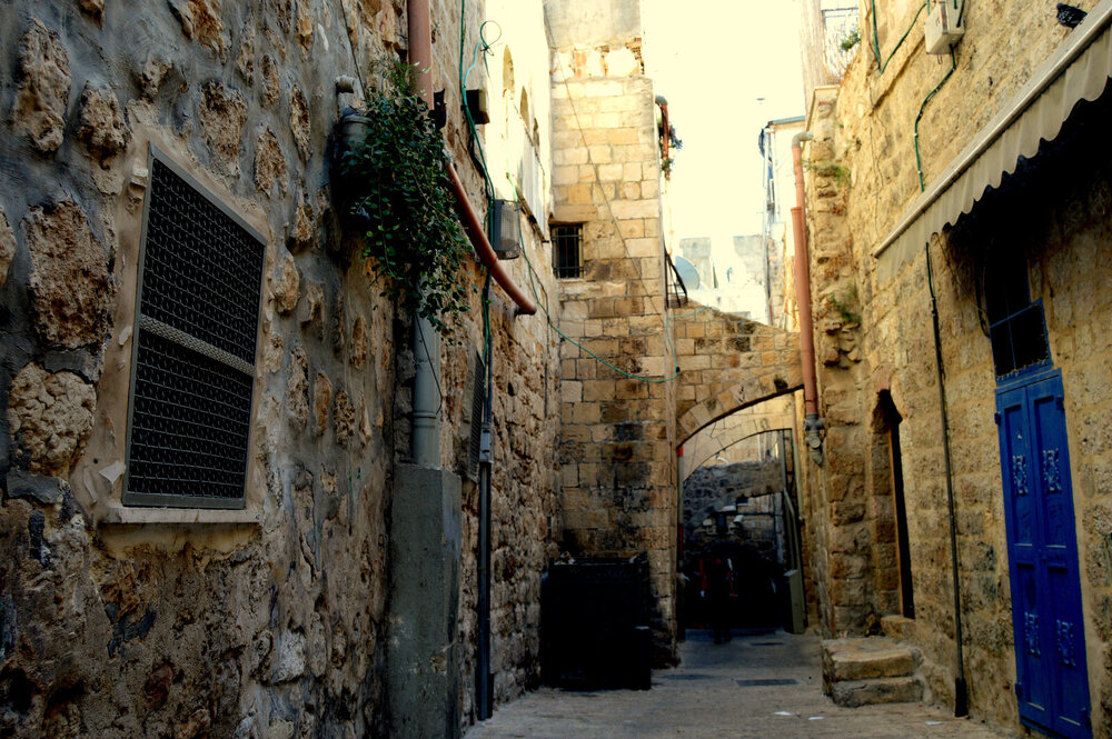 DSC_0190.JPG