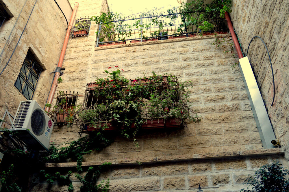 DSC_0192.JPG