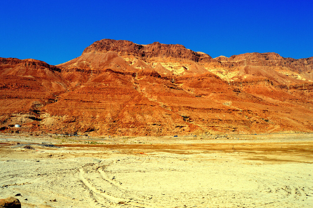DSC_0253.JPG