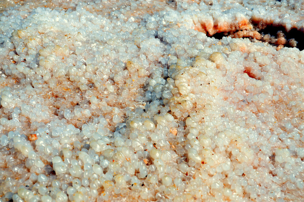 DSC_0262.JPG