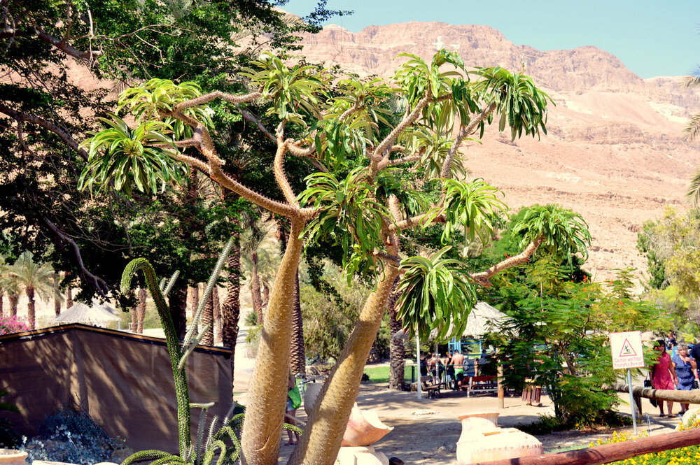 DSC_0288.JPG