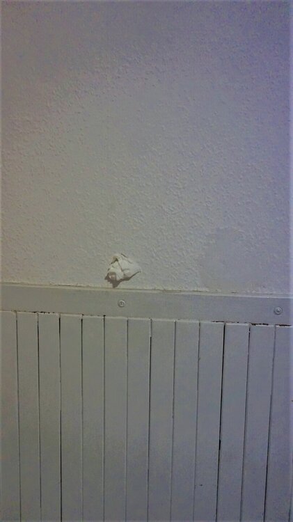 Отель в Венгрии дырка.jpg