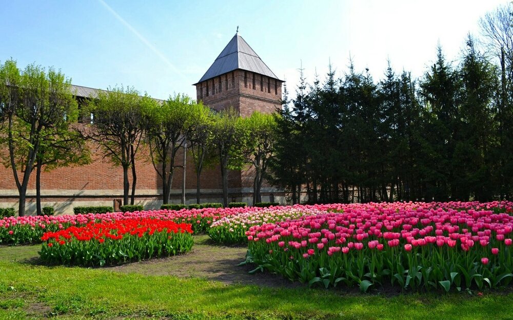 58 Милешкин Владимир.jpg