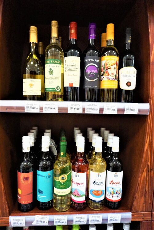 Отель в Венгрии122.jpg