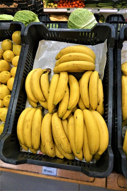 Отель в Венгрии115.jpg