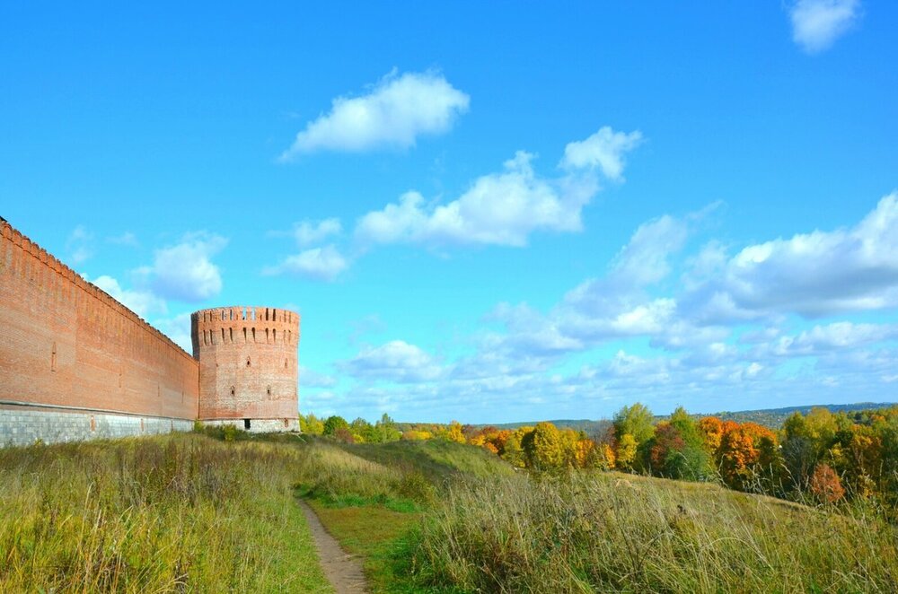 82 Милешкин Владимир.jpg