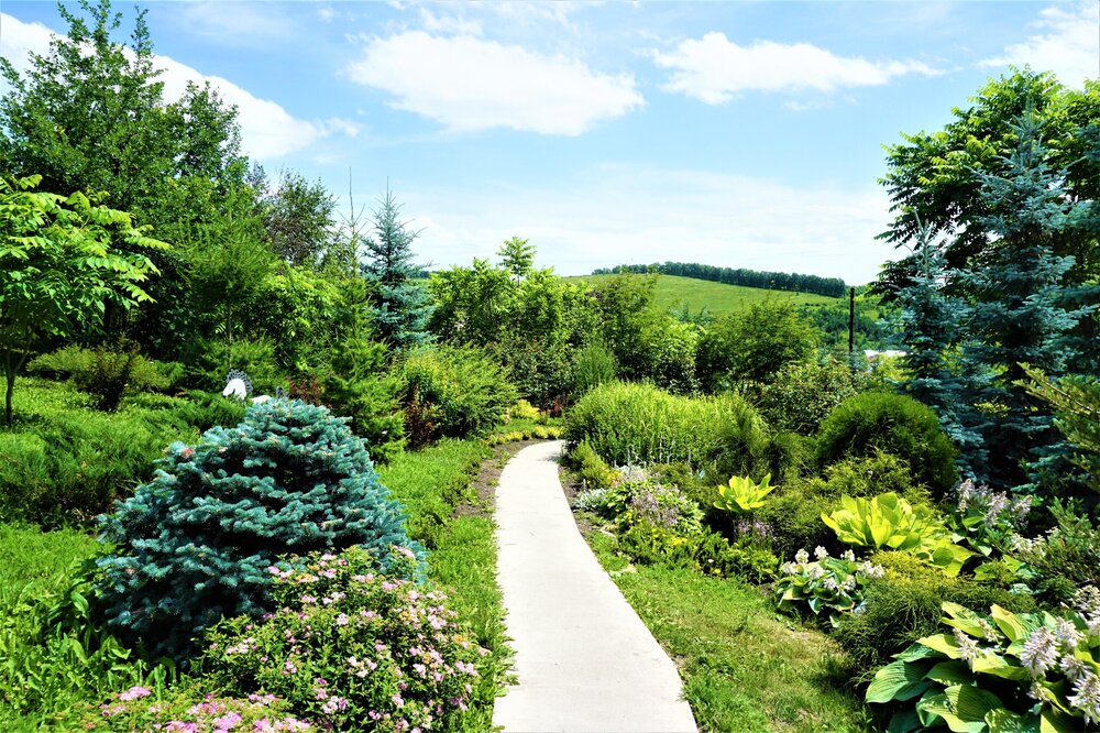 Презентация Алтай 3б.jpg