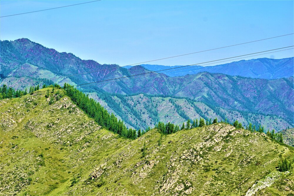 Чике-Таман 15.jpg