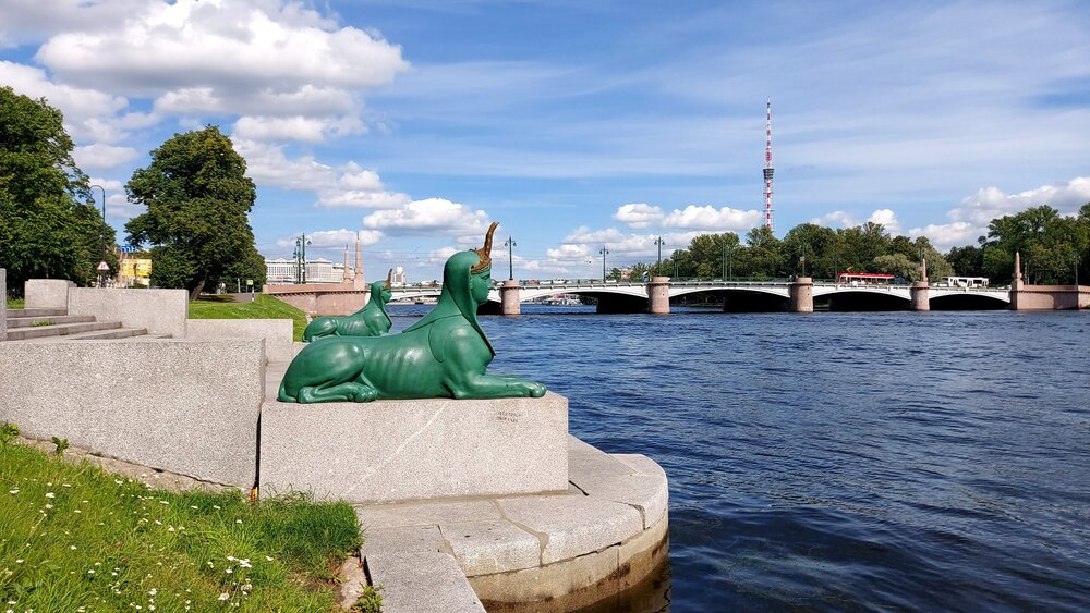 20200806_153955 (1).jpg