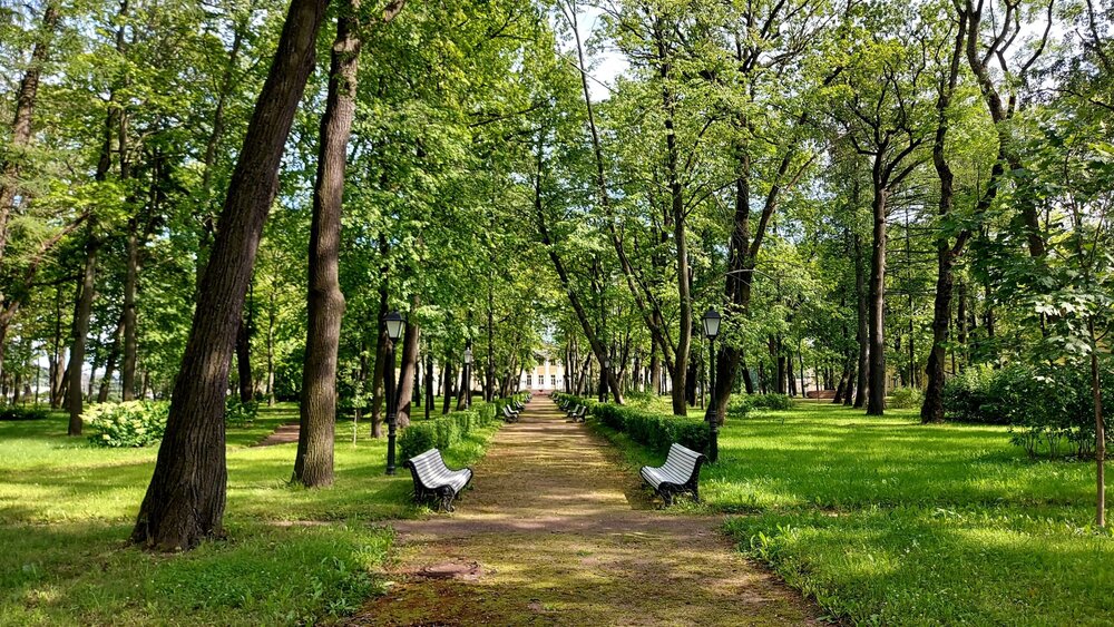 20200806_151405 (1)-min.jpg