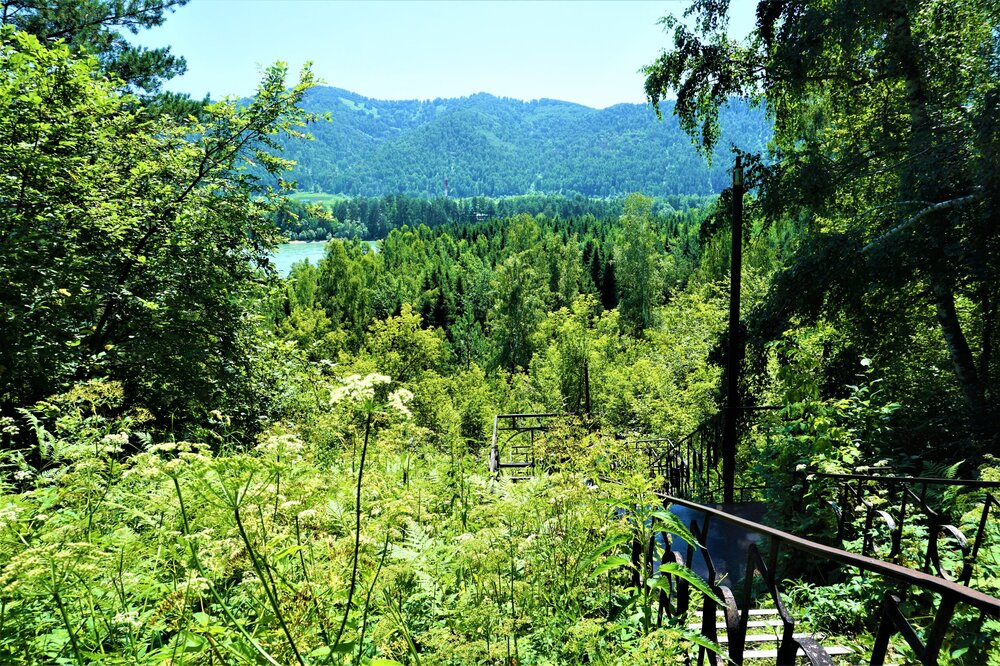 Адтай 1 день лестница2.jpg