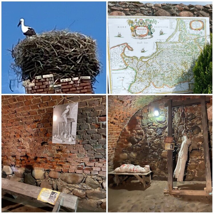 6 image-31-07-20-18-37-1.jpeg