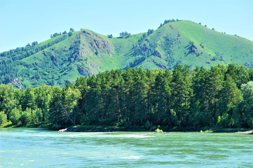 Алтай 1 день вид с моста 5.jpg