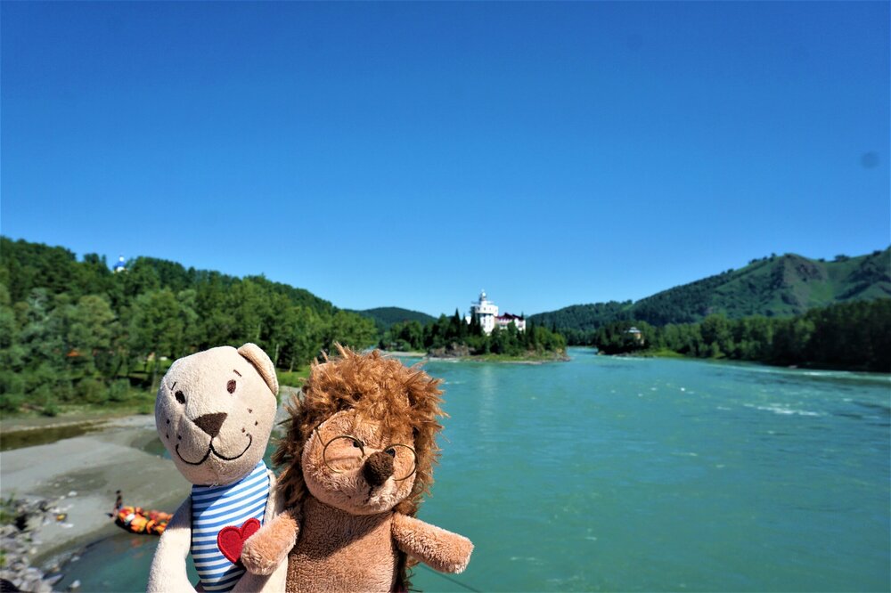 Алтай 1 день корона.jpg