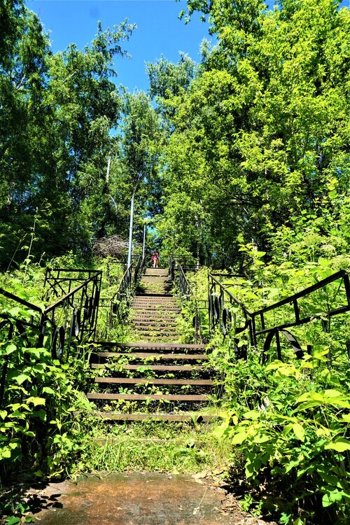 Алтай лестница 3.jpg