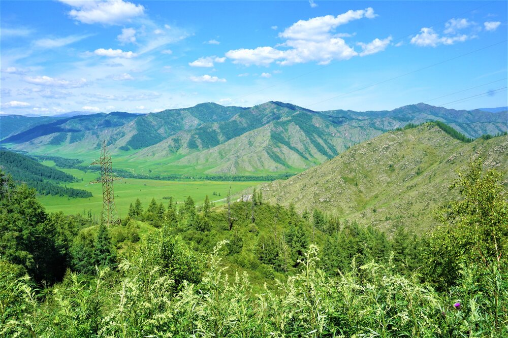 Алтай дорога до Чике тамана 10.jpg