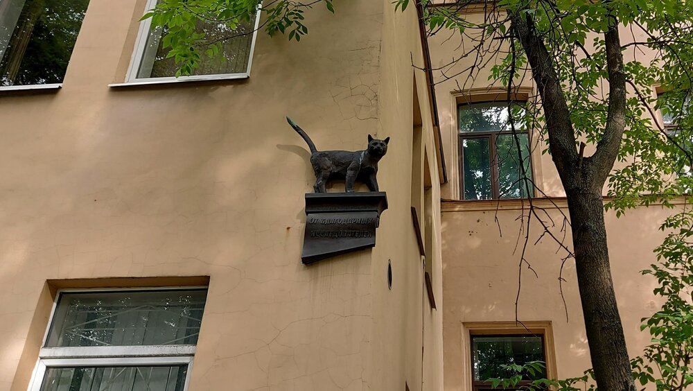 20200806_163523 (1).jpg