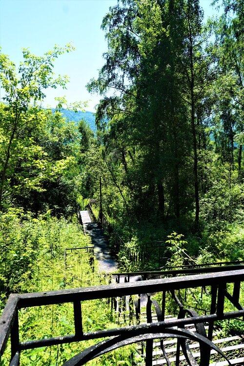 Алтай лестница 4.jpg