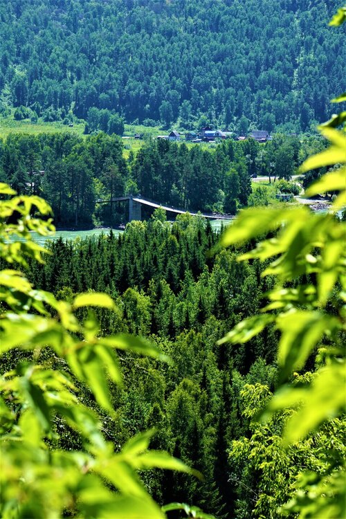 Алтай вид с часовни.jpg