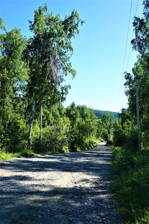 Алтай 1 день дорога вниз2.jpg