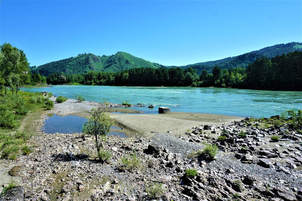 Алтай 1 день вид с моста.jpg