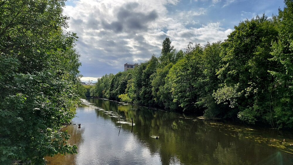 20200806_161453 (1).jpg