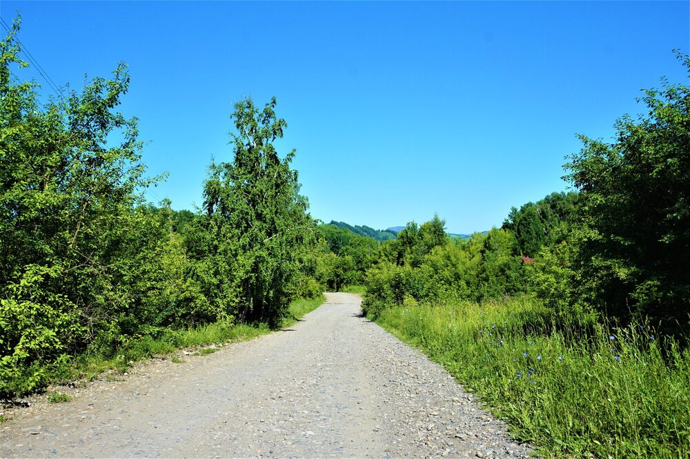 Алтай 1 день дорога вниз.jpg