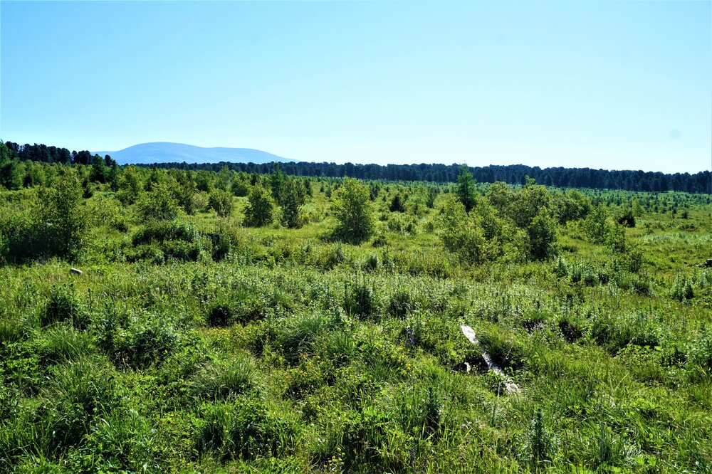 Семинский перевал 10.jpg