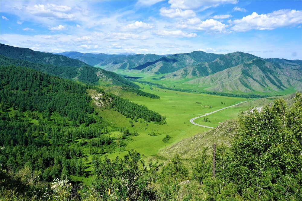 Чике таман9.jpg