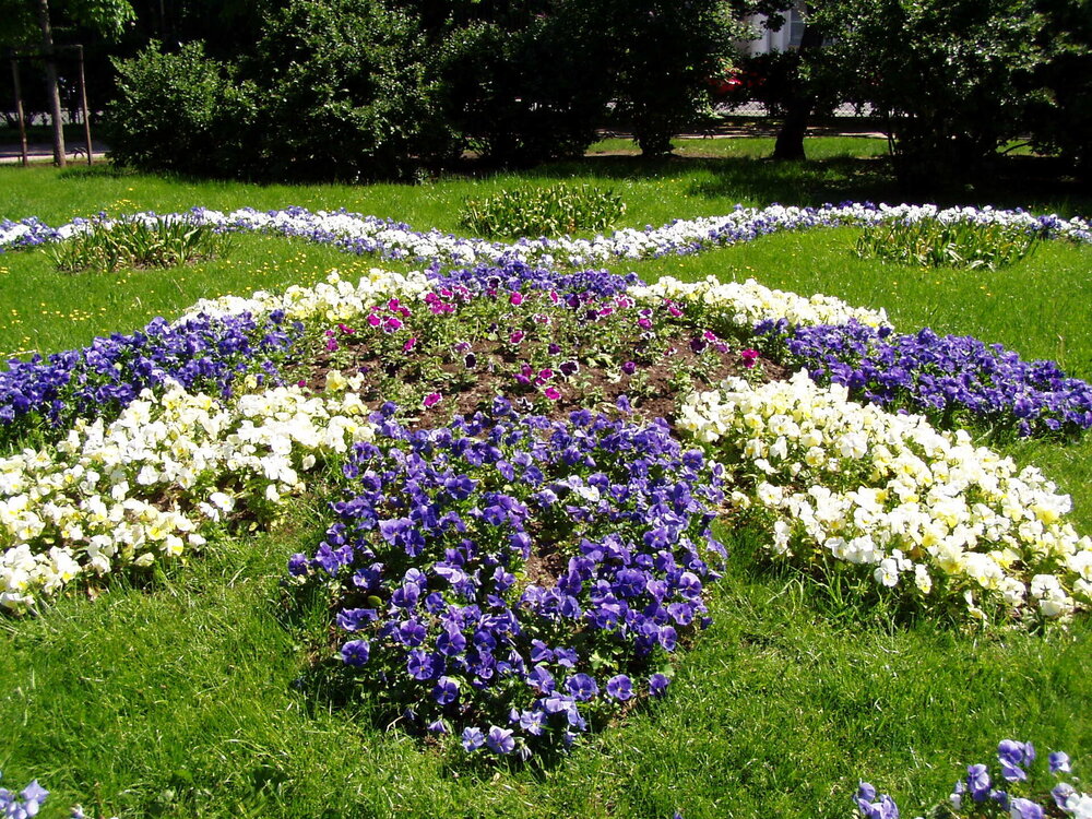 ПИТЕР 2011 (24).JPG