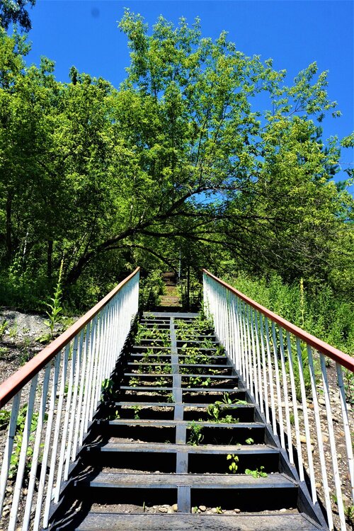 Алтай 1 день лестница.jpg