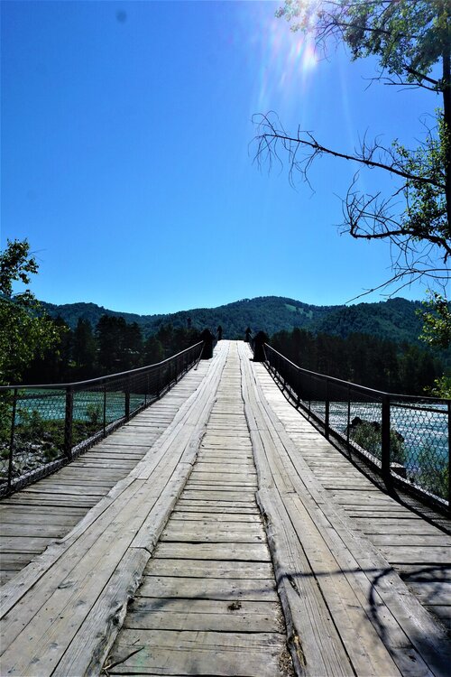 Алтай 1 день мост.jpg