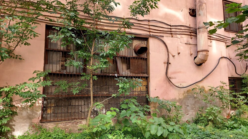 20200806_164458 (1).jpg